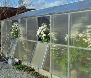 Bloomvista Greenhouse