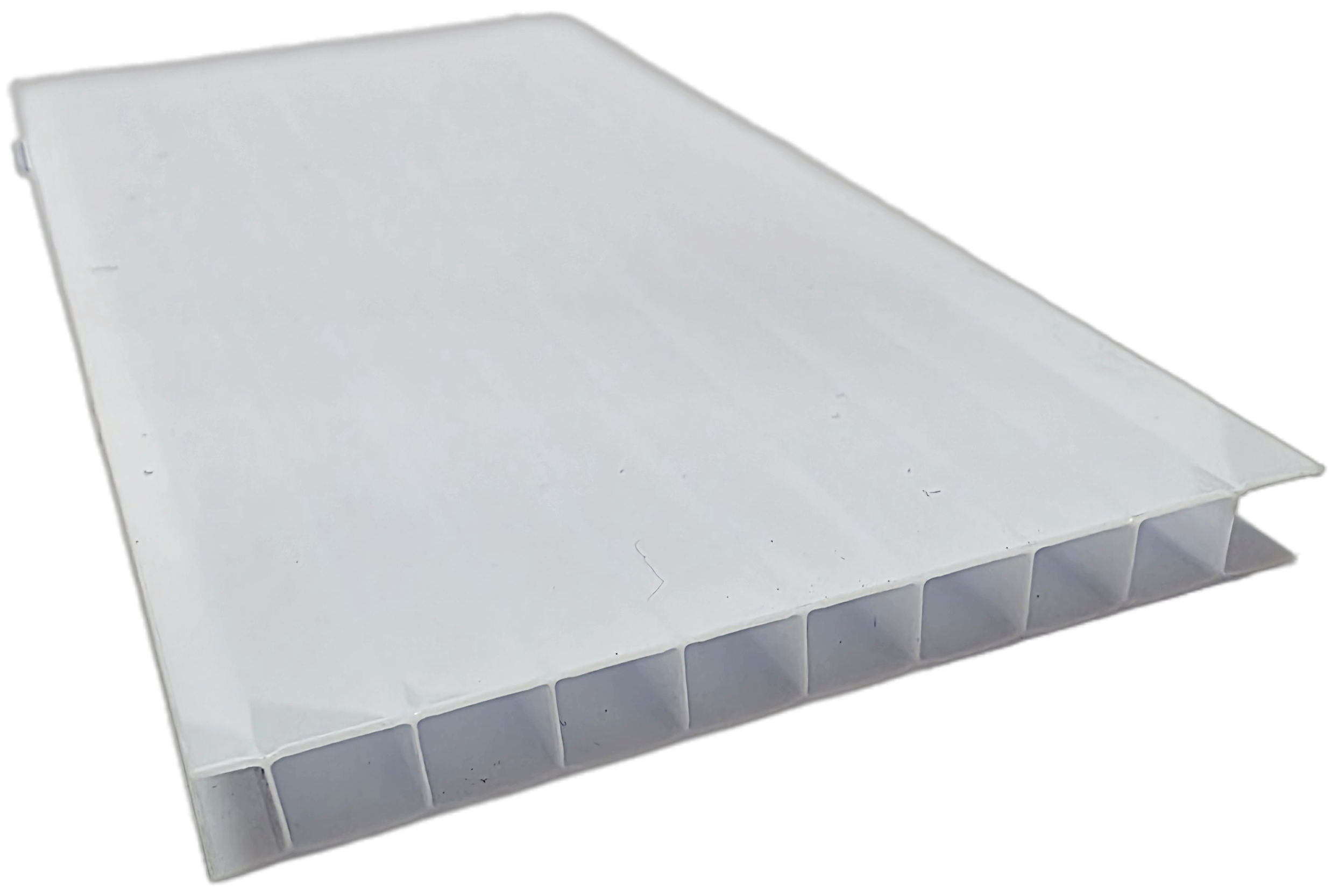 D 12 Opal Lt 11.10
